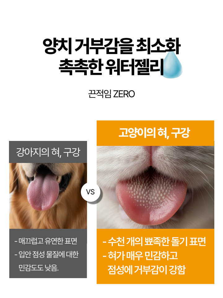 [NEW신상][무료배송] 캣디피 고양이 원미닛 치약 덴탈 효소 펌핑형 70번째