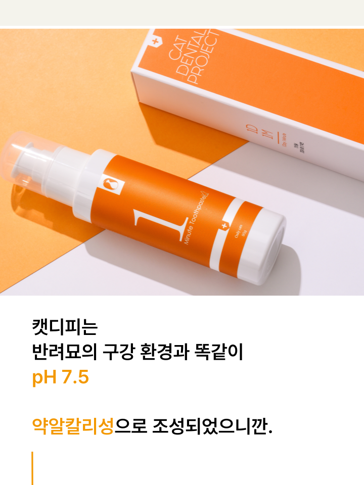 [NEW신상][무료배송] 캣디피 고양이 원미닛 치약 덴탈 효소 펌핑형 62번째