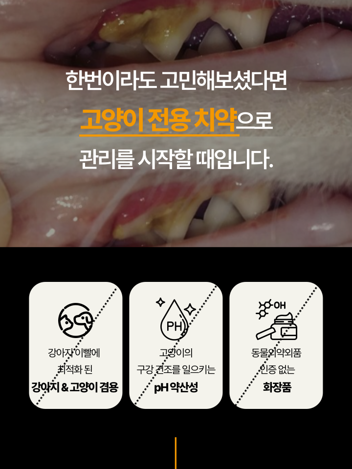 [NEW신상][무료배송] 캣디피 고양이 원미닛 치약 덴탈 효소 펌핑형 13번째