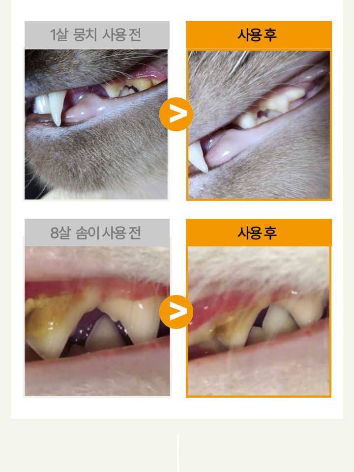 [NEW신상][무료배송] 캣디피 고양이 원미닛 치약 덴탈 효소 펌핑형 48번째