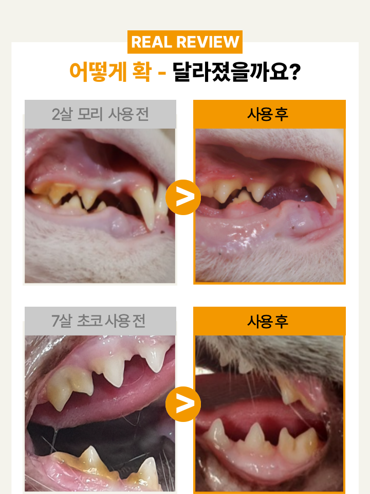 [NEW신상][무료배송] 캣디피 고양이 원미닛 치약 덴탈 효소 펌핑형 47번째
