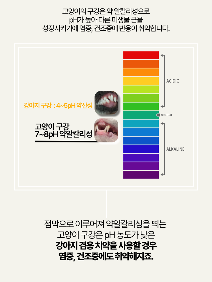 [NEW신상][무료배송] 캣디피 고양이 원미닛 치약 덴탈 효소 펌핑형 39번째