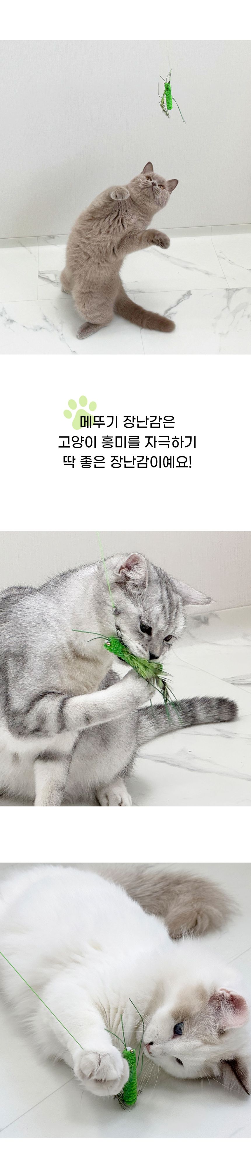 펫모닝 허니허니 메뚜기 리필 3번째