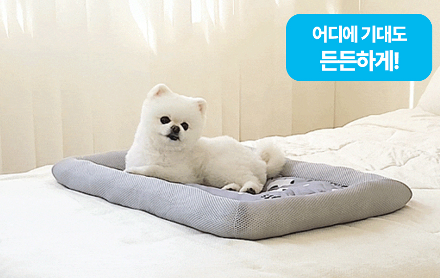 [NEW신상][무료배송] 레토 강아지 방석 쿨매트 고양이 쿠션 LDC-C04 10번째