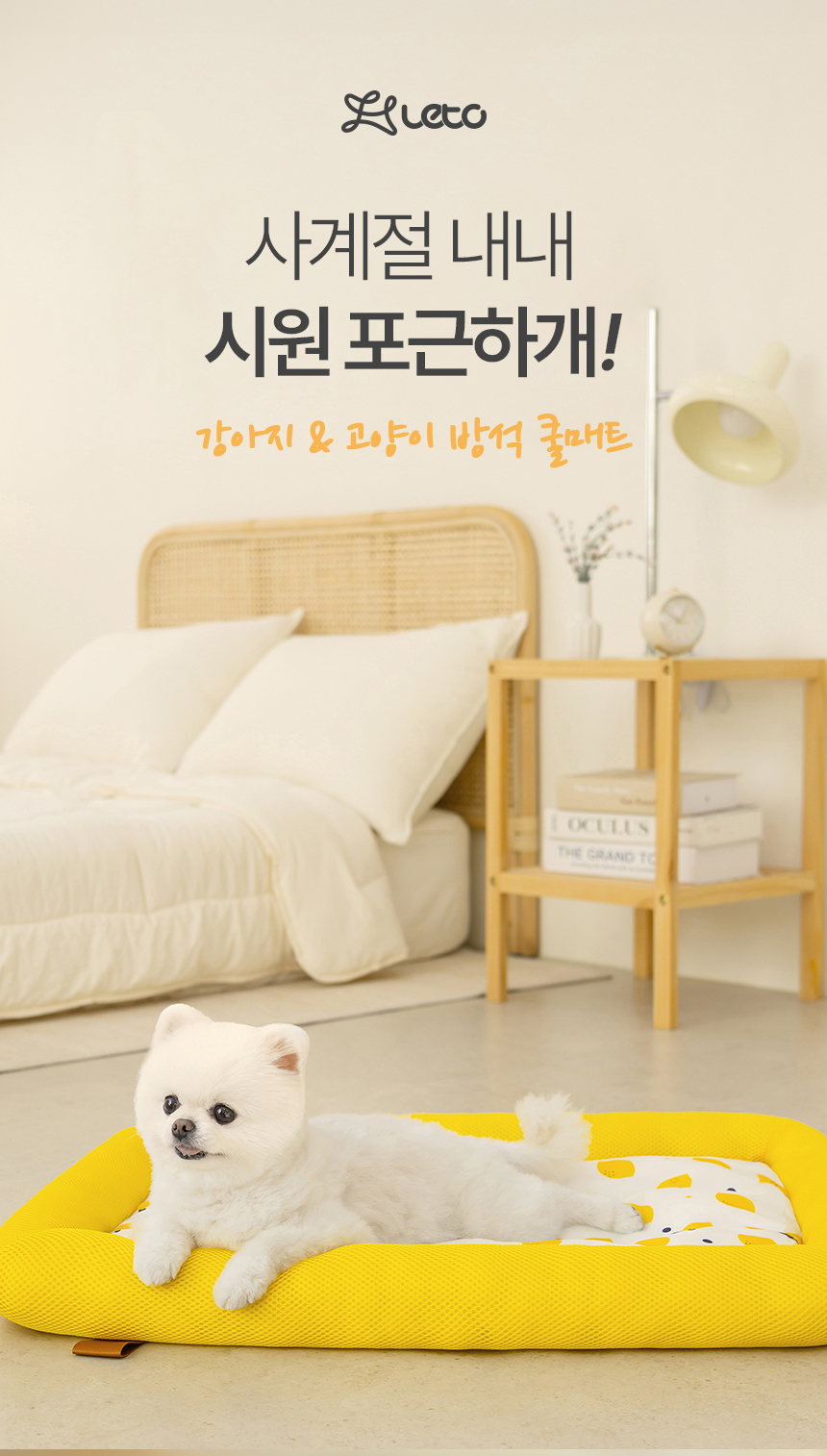[NEW신상][무료배송] 레토 강아지 방석 쿨매트 고양이 쿠션 LDC-C04 2번째