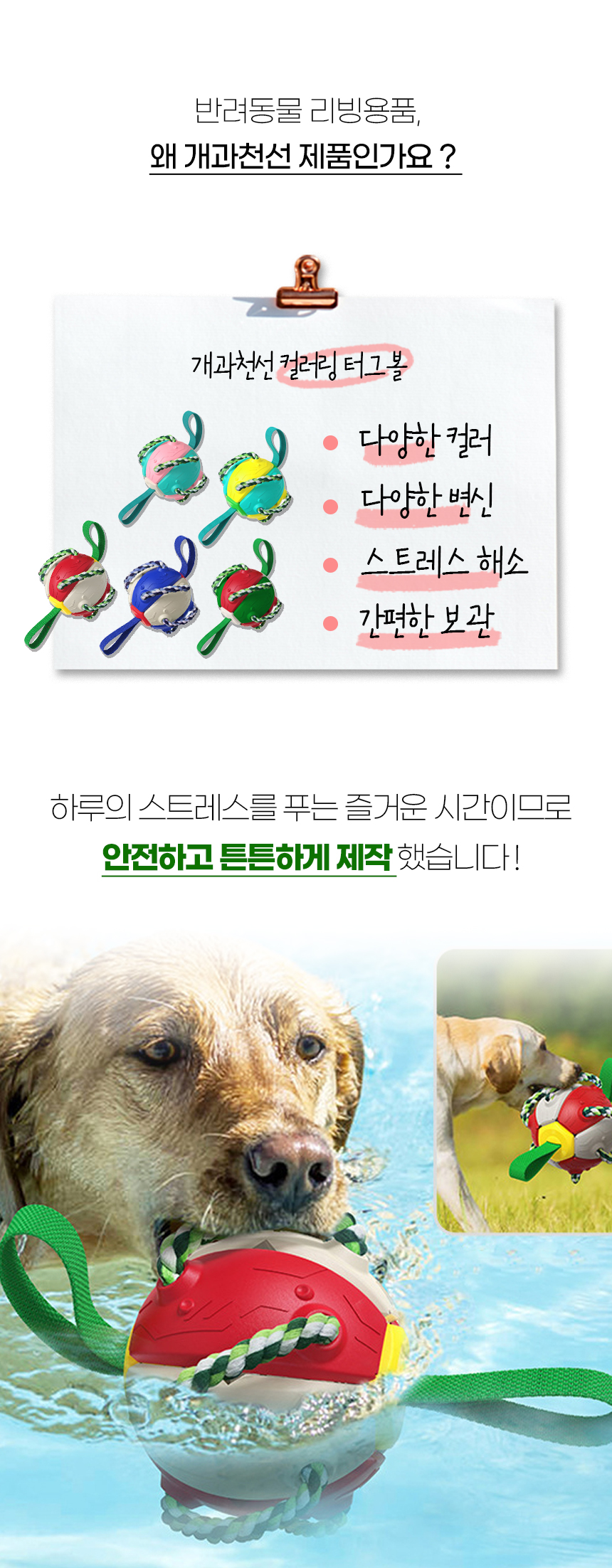 [NEW신상][무료배송] [색상랜덤] 개과천선 독 컬러링 터그볼 장난감 5번째