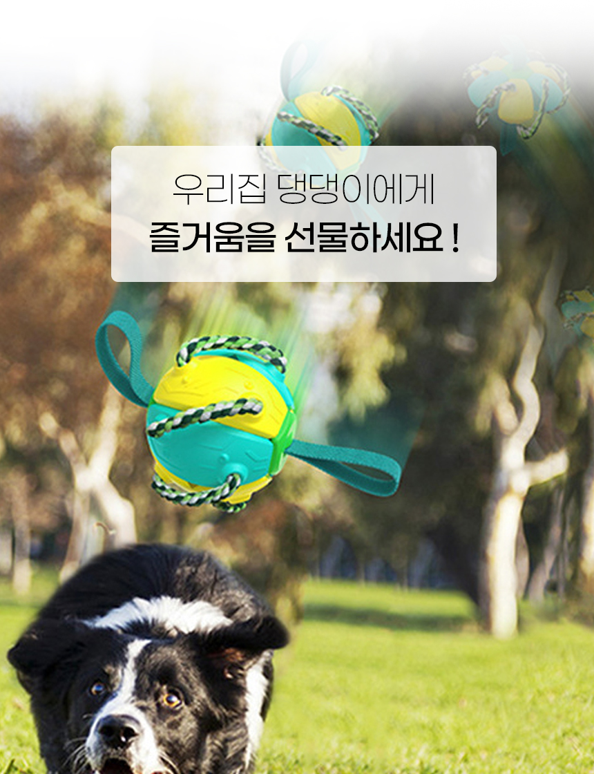 [NEW신상][무료배송] [색상랜덤] 개과천선 독 컬러링 터그볼 장난감 3번째