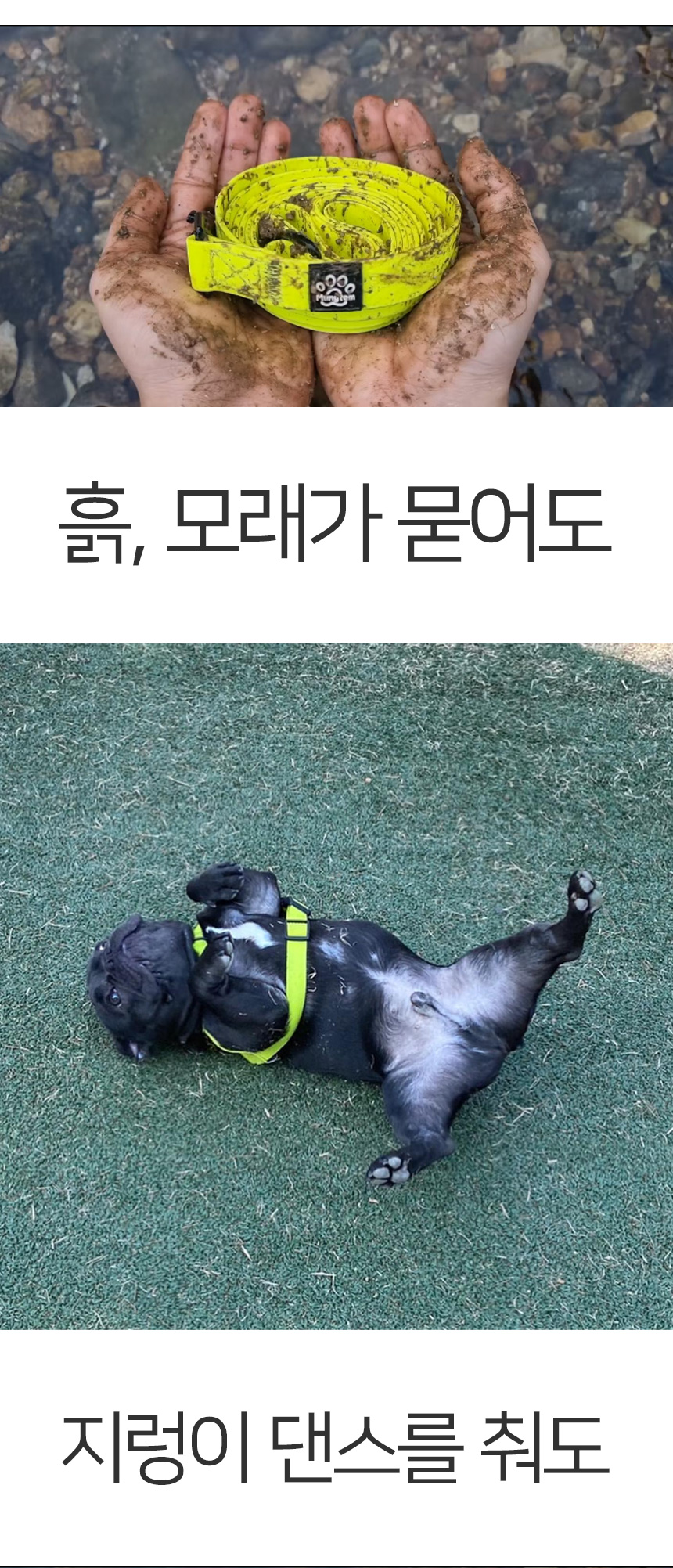 [무료배송] 멍템 방수 리드줄 네온옐로/네온오렌지/방수그린/방수블루/방수블랙 S-L 8번째