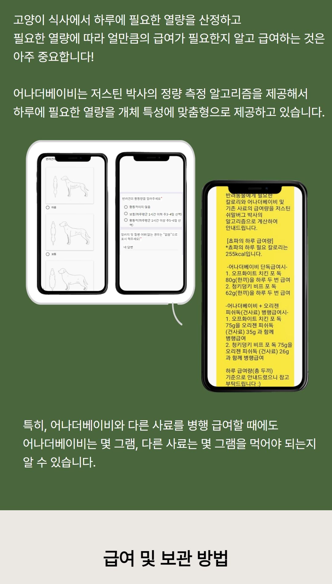 [무료배송] 어나더베이비 캣 오프화이트 치킨 40g*8p 10번째