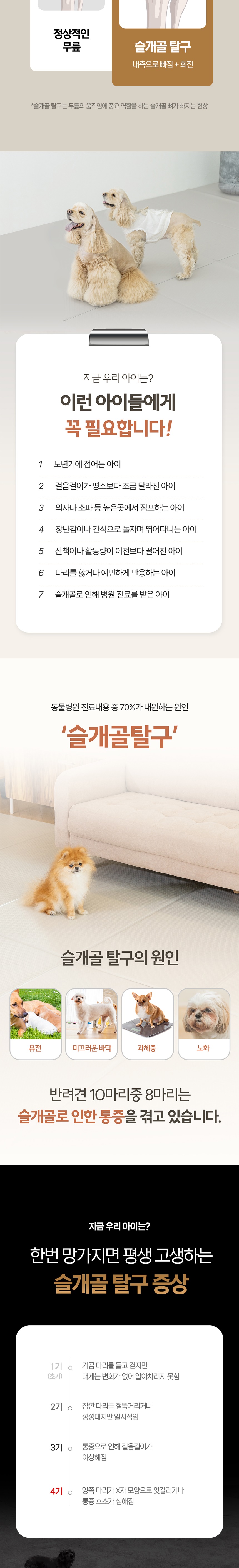 [NEW신상][무료배송] 플리다스 러그타입 투게더 논슬립 코지 애견매트 2번째