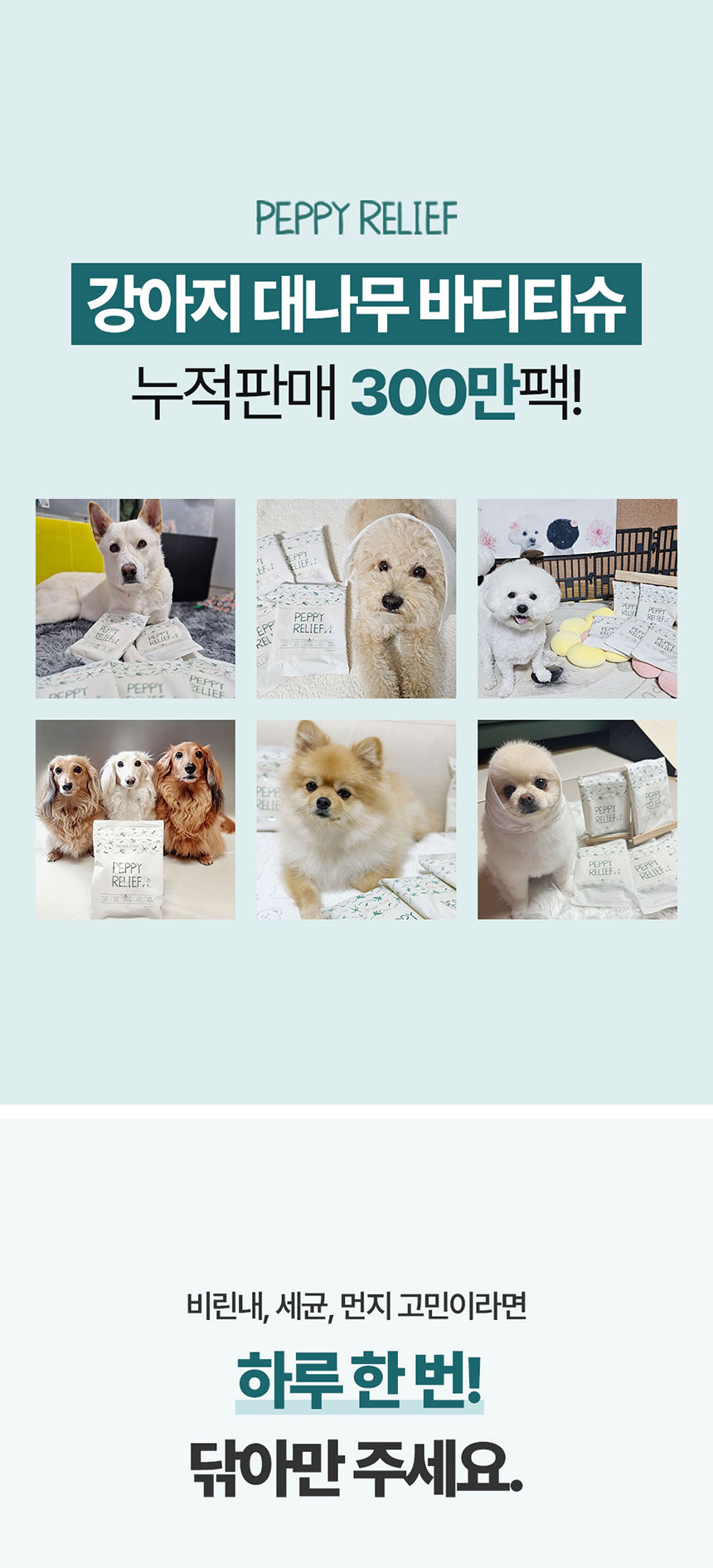 [NEW신상][무료배송] 페피릴리프 강아지 대나무 바디티슈 5팩 1번째