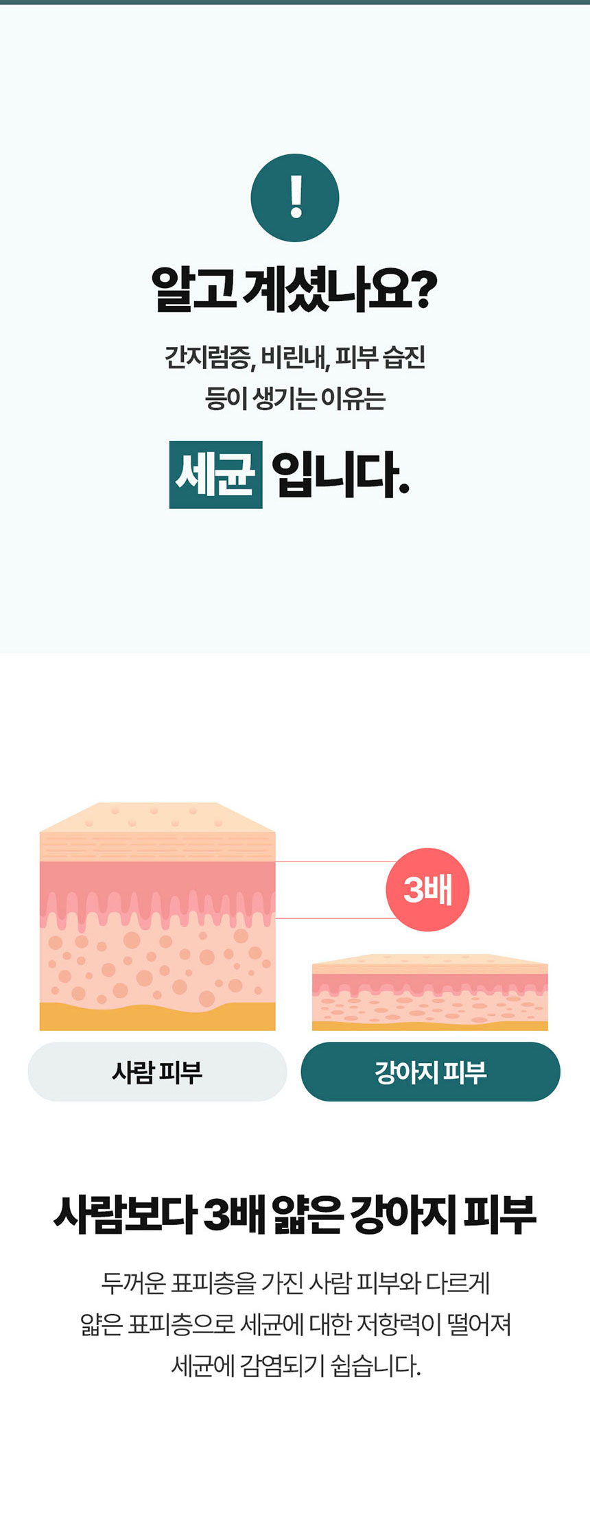 [NEW신상][무료배송] 페피릴리프 강아지 대나무 바디티슈 5팩 4번째
