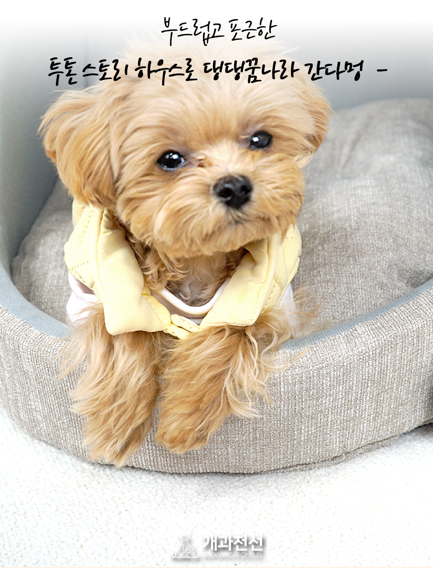 [NEW신상][무료배송] 개과천선 투톤 스토리 하우스 (그린티/체리/레몬) 3번째
