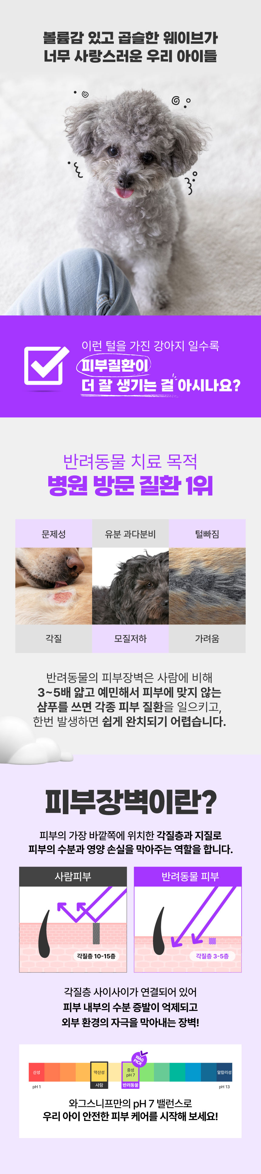 [무료배송] 와그스니프  독 볼륨 샴푸 500ml 2번째