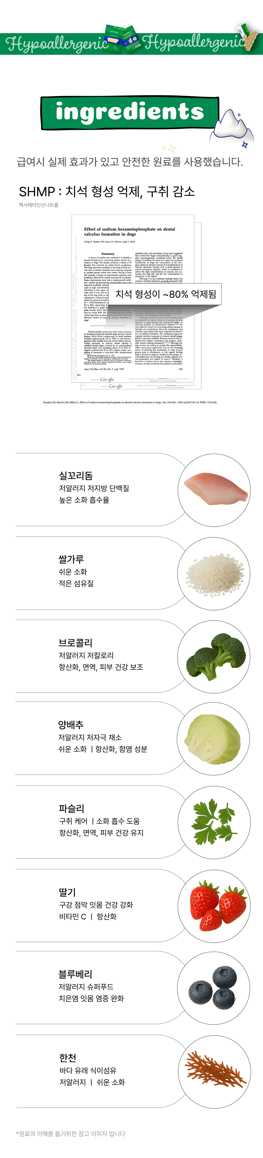 [NEW신상][무료배송] 네이처트레이스 독 스파이더웹 덴탈바 하이포알러제닉 12개입 16번째
