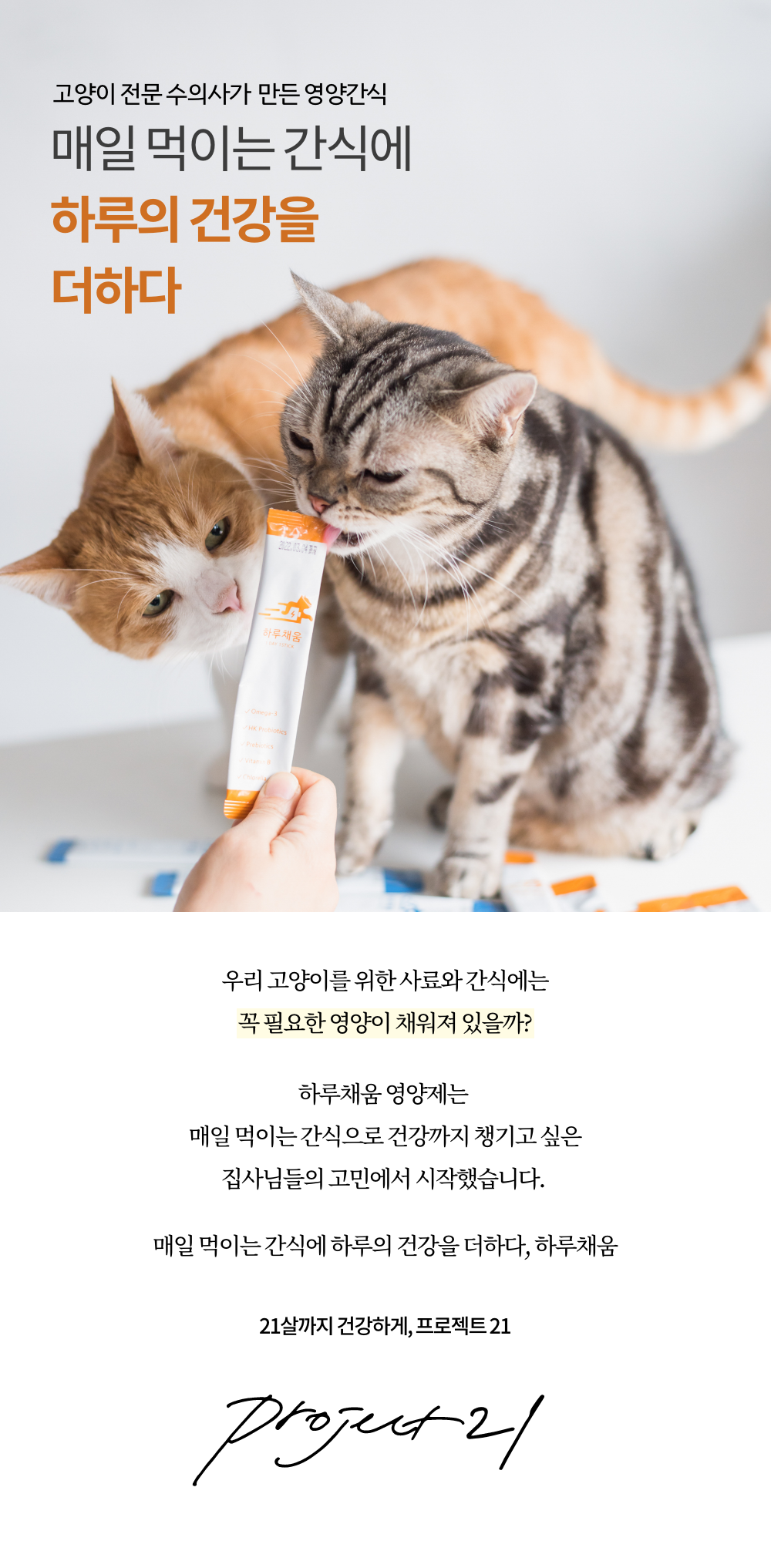 프로젝트21 캣 하루채움 자연산 가자미 12g*15p 1번째