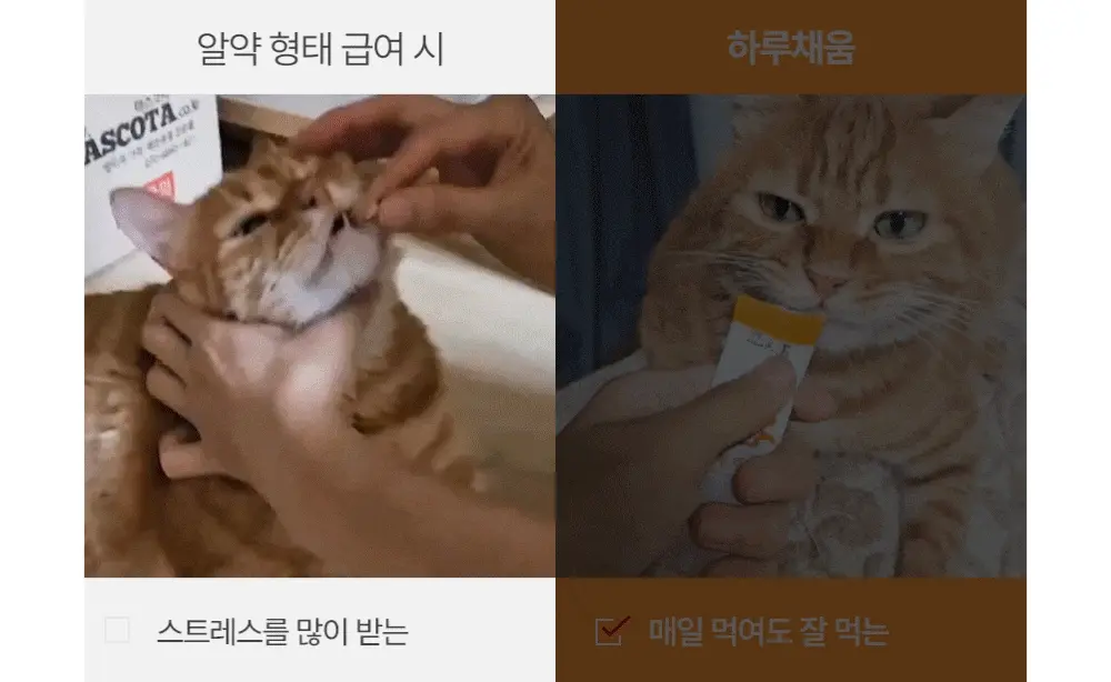 프로젝트21 캣 하루채움 자연산 가자미 12g*15p 14번째