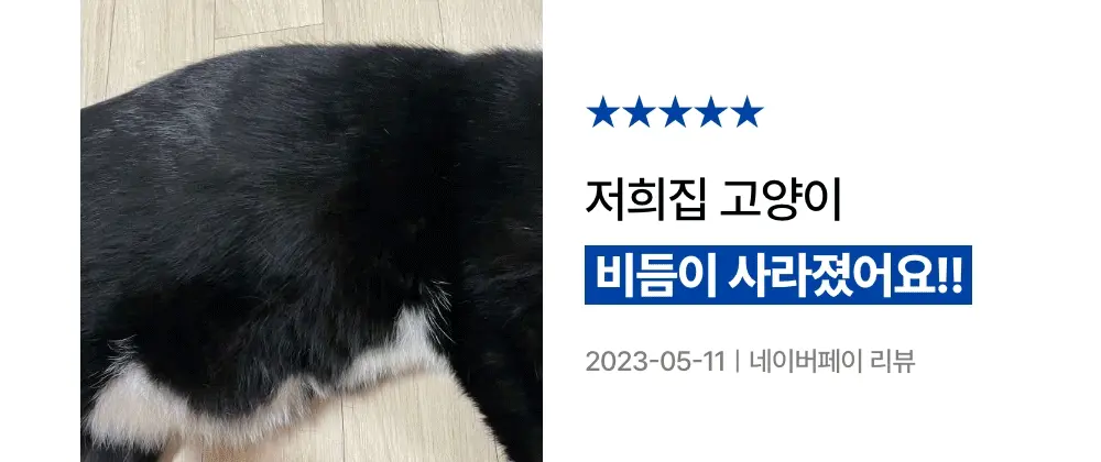 프로젝트21 캣 하루채움 자연산 가자미 12g*15p 9번째