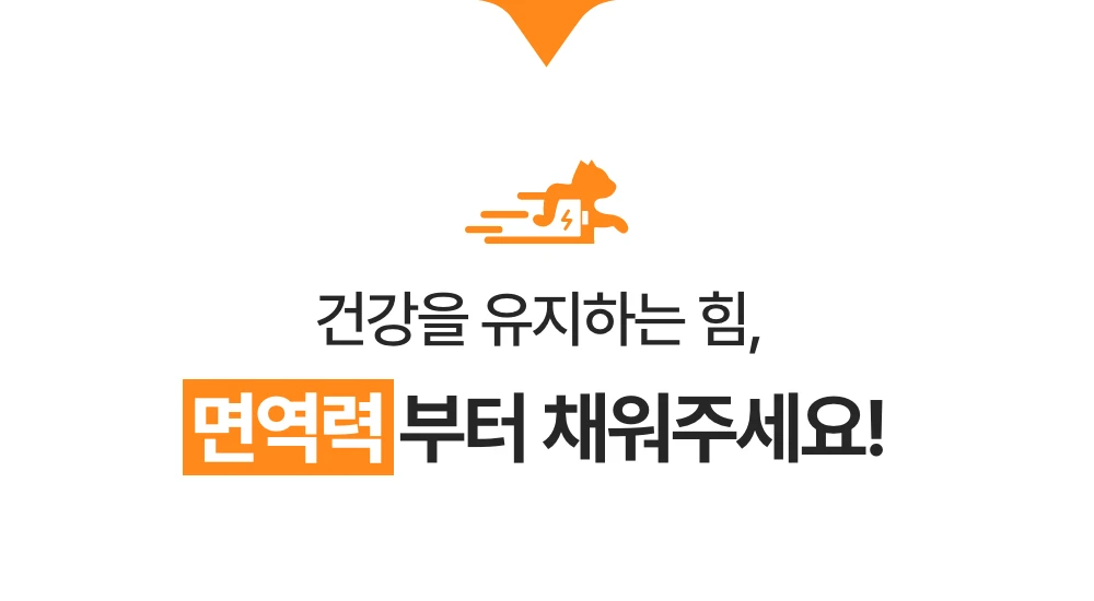 프로젝트21 캣 하루채움 자연산 가자미 12g*15p 5번째