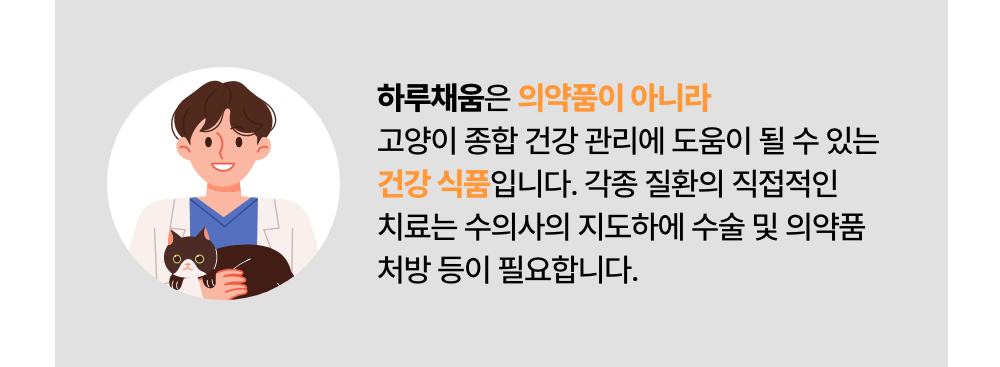 프로젝트21 캣 하루채움 자연산 가자미 12g*15p 8번째