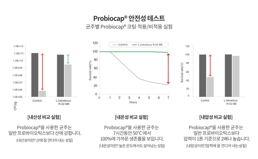 프로젝트21 캣 하루채움 자연산 가자미 12g*15p 14번째