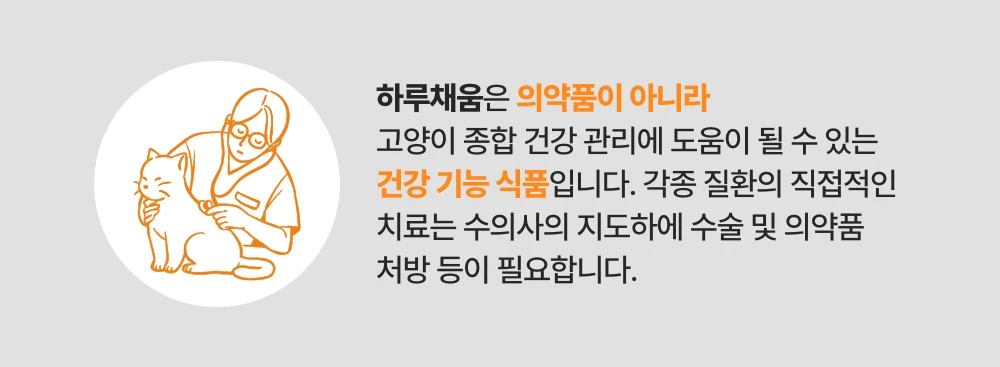 프로젝트21 캣 하루채움 자연산 가자미 12g*15p 21번째
