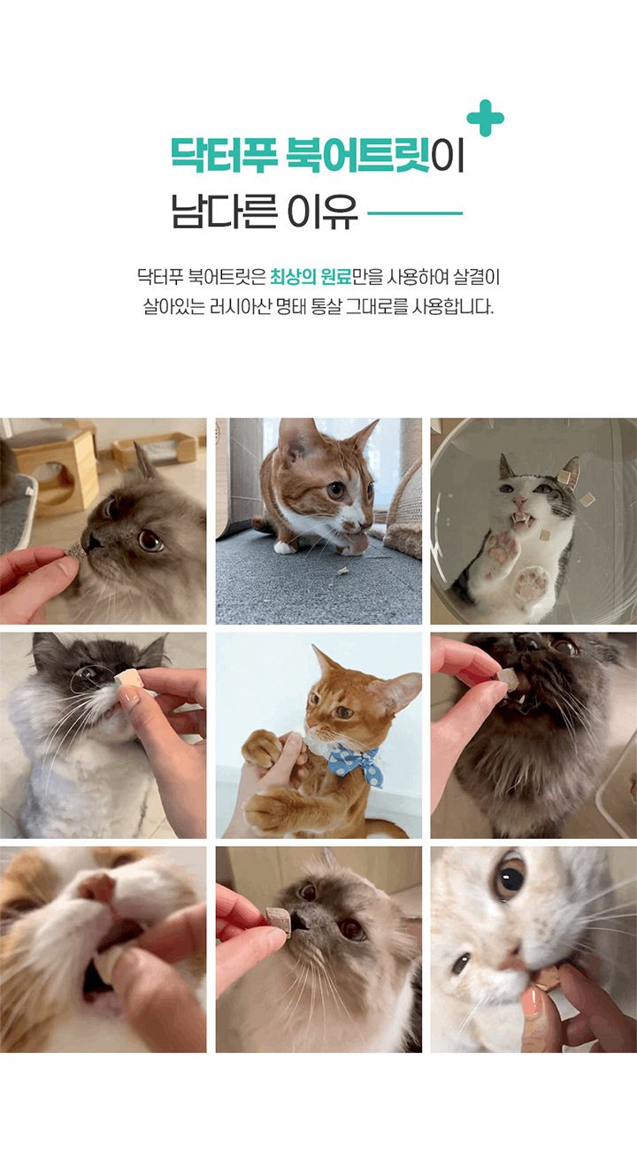 [무료배송] 닥터푸 대용량 동결건조 북어트릿 240g 4번째