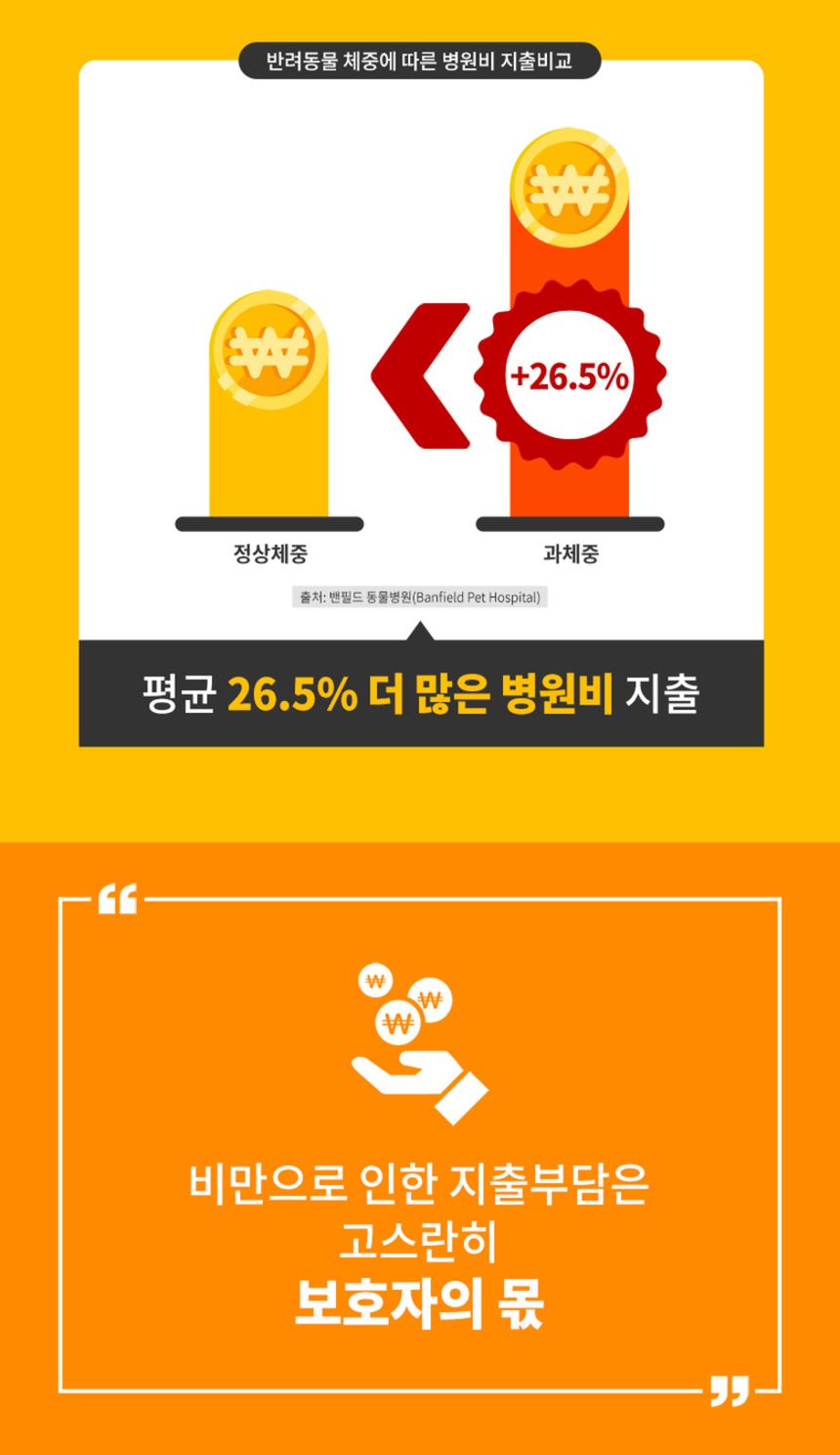 사사견견 살좀뺄개 저키 60p 5번째