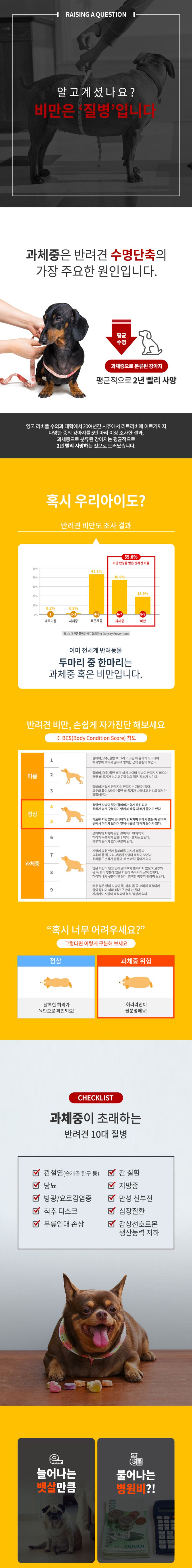 사사견견 살좀뺄개 저키 60p 4번째