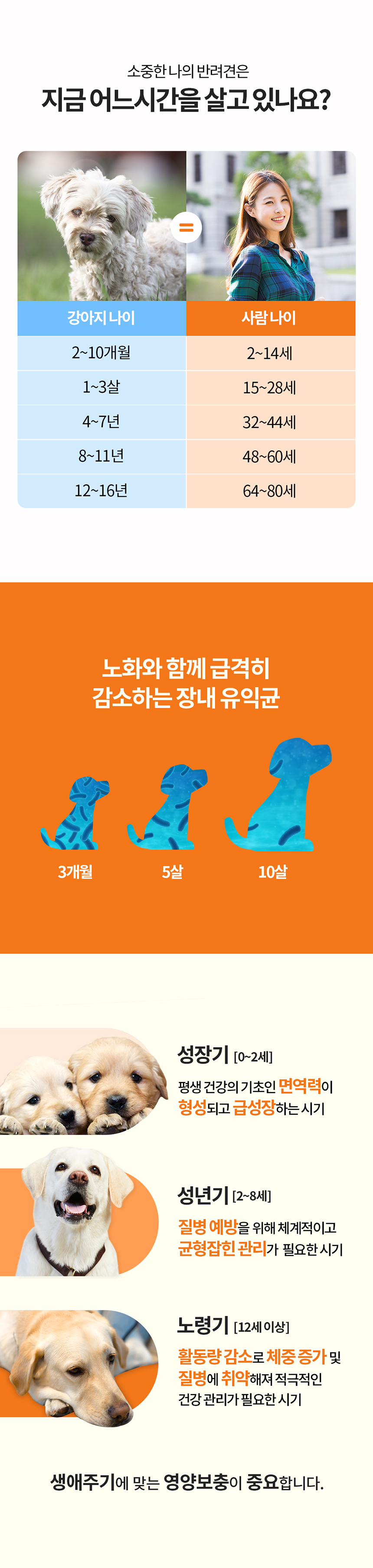 프롬한라 독 골드&슬림 유산균 60g 7번째