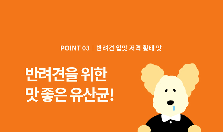 프롬한라 독 골드&슬림 유산균 60g 15번째