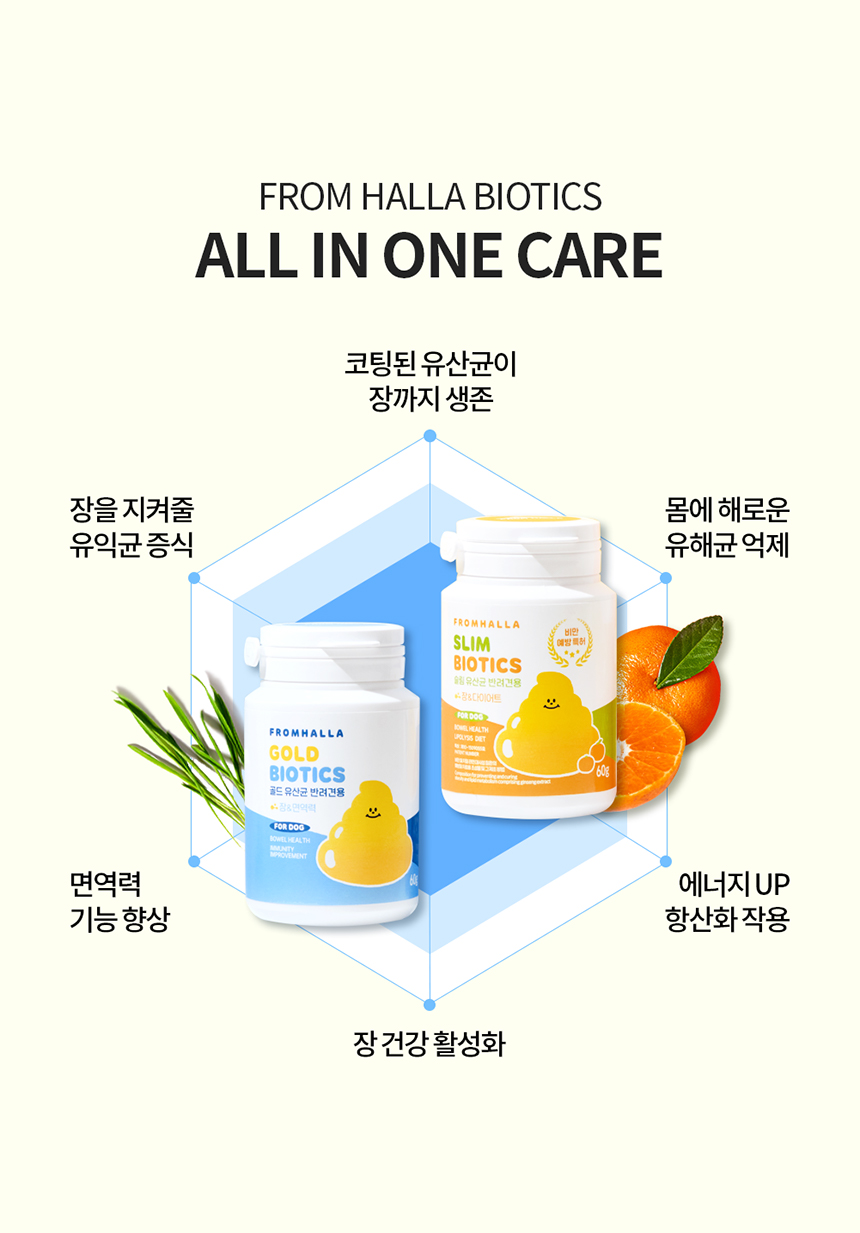 프롬한라 독 골드&슬림 유산균 60g 11번째