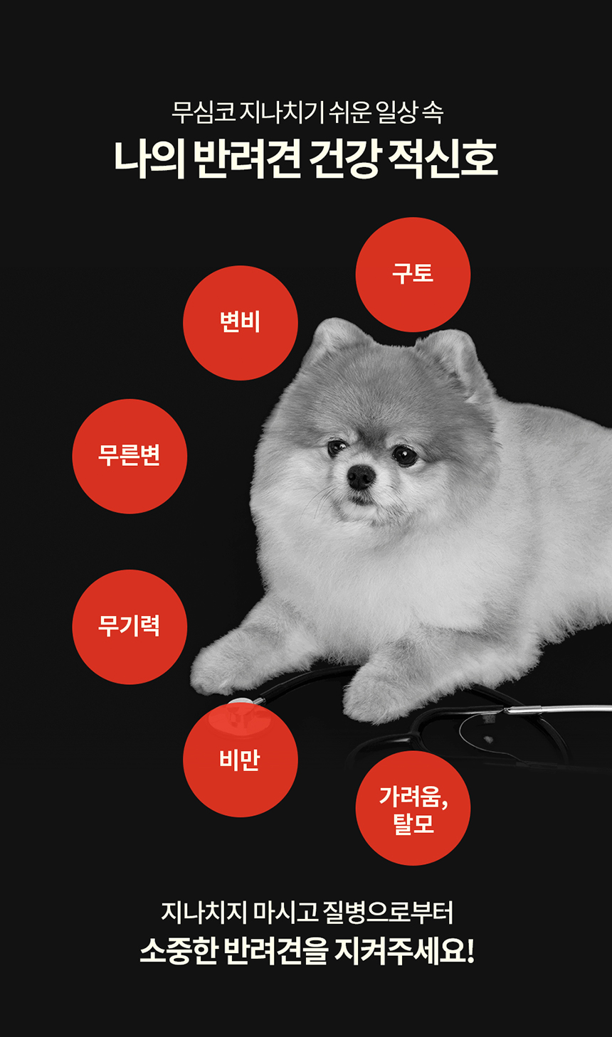 프롬한라 독 골드&슬림 유산균 60g 5번째