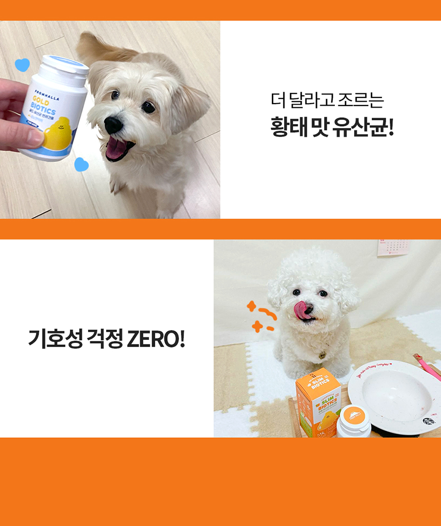 프롬한라 독 골드&슬림 유산균 60g 16번째