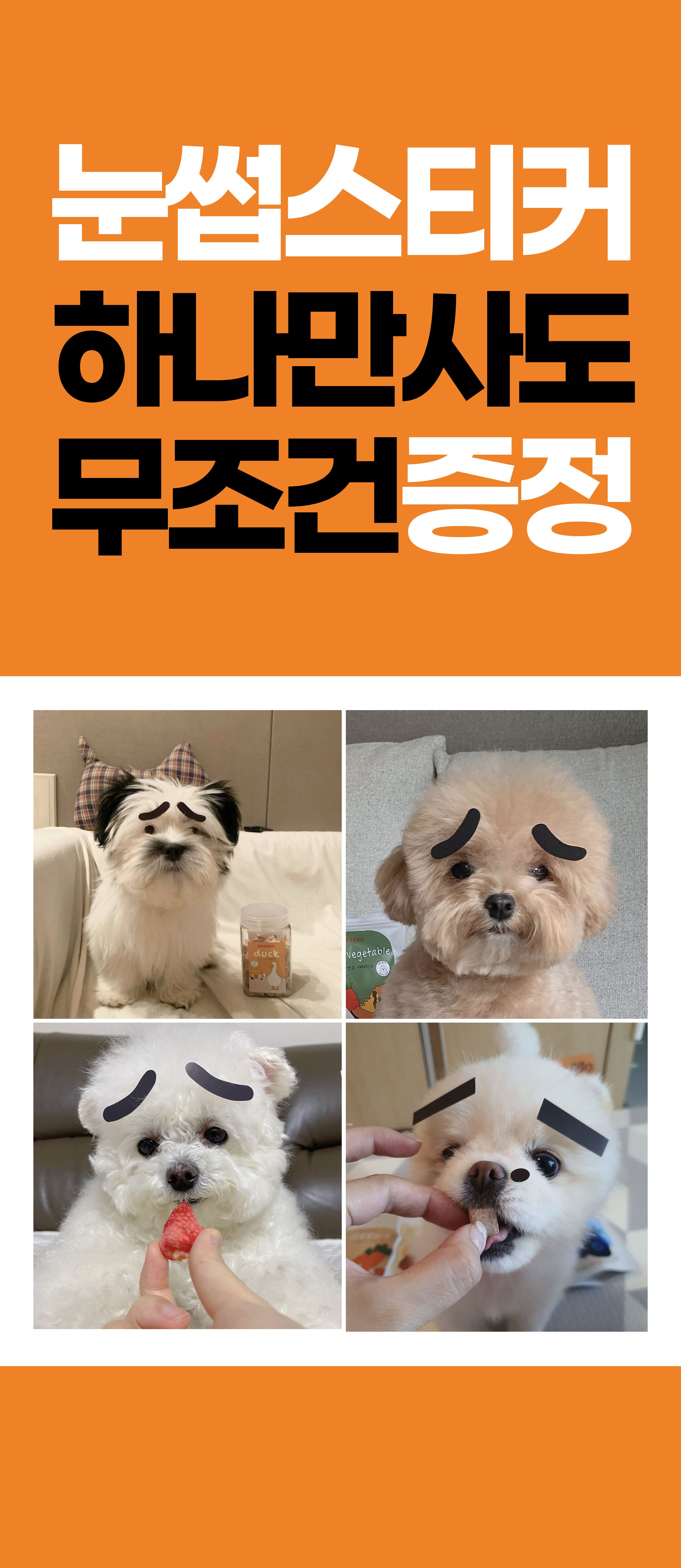 [무료배송] 뽀뽀제과 독 훈련 간식 3종 세트  24번째