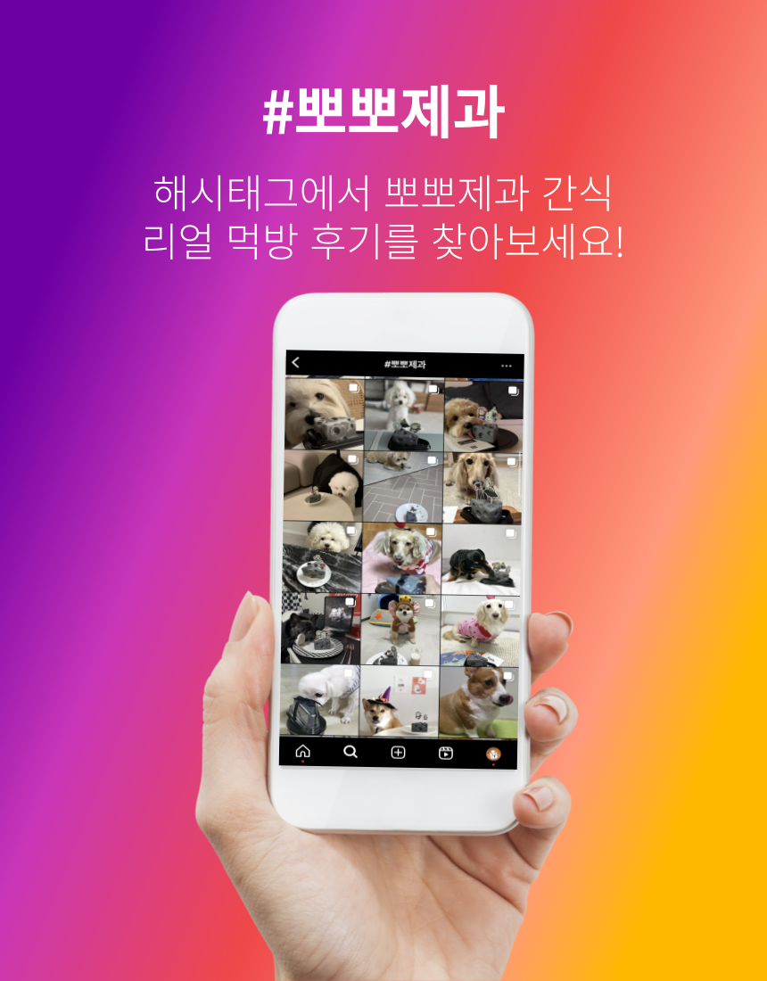 [무료배송] 뽀뽀제과 독 훈련 간식 3종 세트  28번째