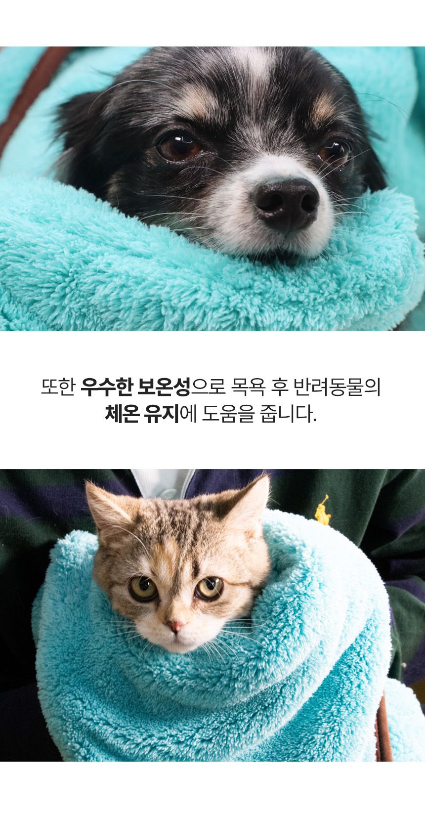[무료배송] 코코시루 민트초코 펫 타월 (CTW) 12번째