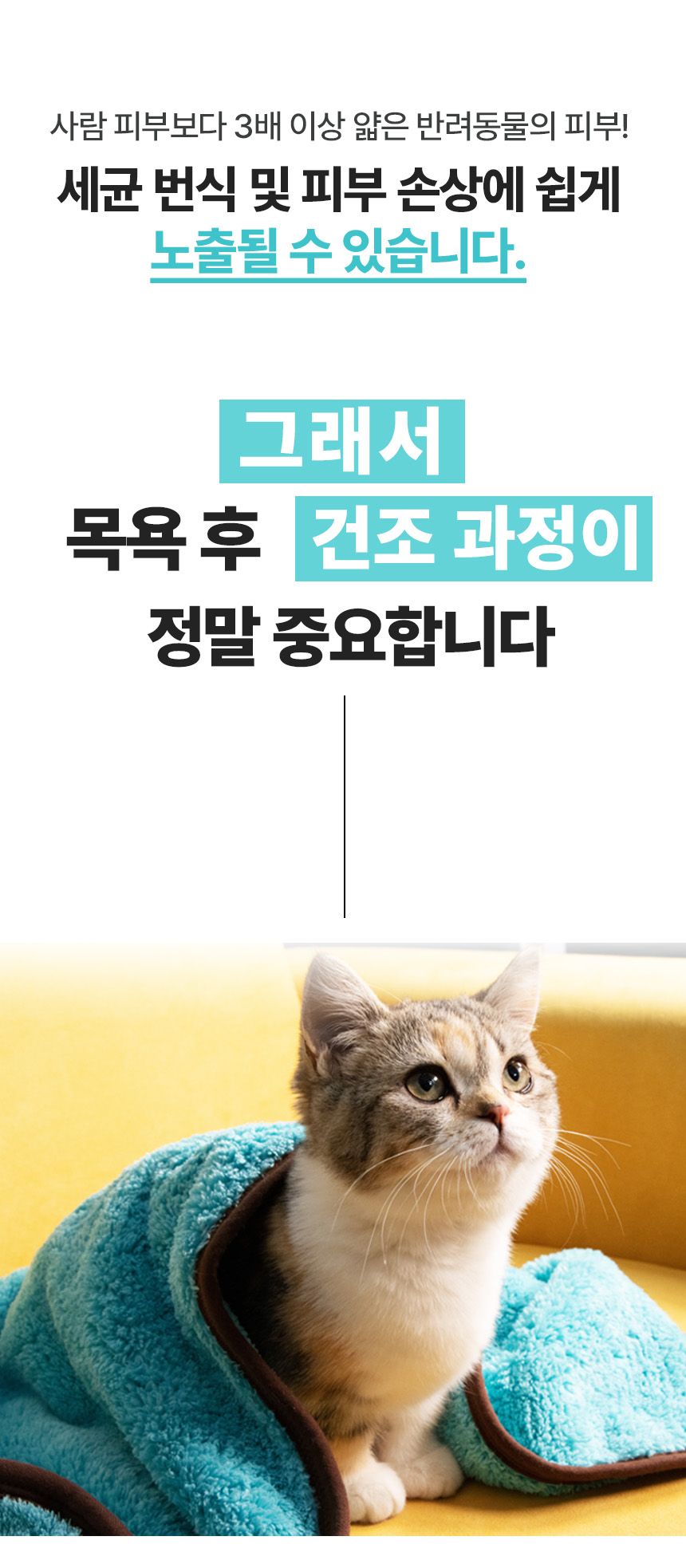 [무료배송] 코코시루 민트초코 펫 타월 (CTW) 6번째