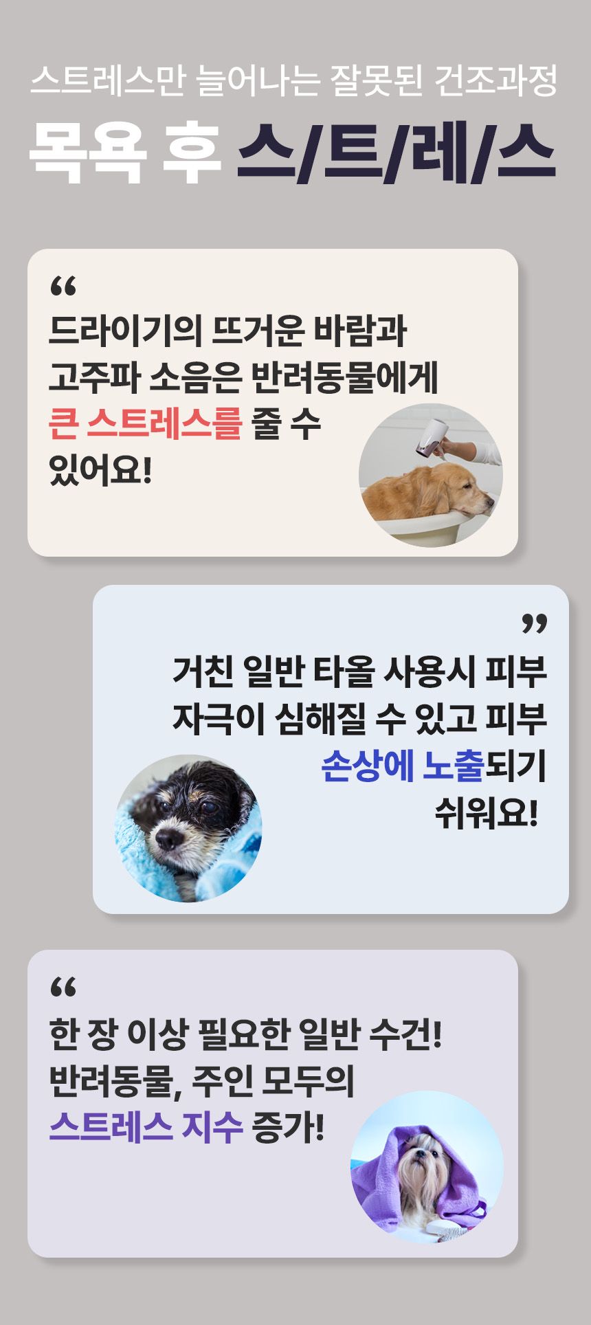 [무료배송] 코코시루 민트초코 펫 타월 (CTW) 5번째