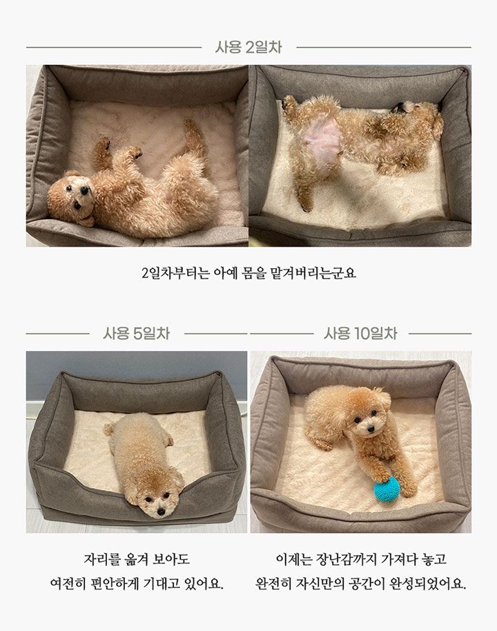 [무료배송] 스윗픽 에그폼 방석 쿠션 브라운코코/화이트샌드 11번째