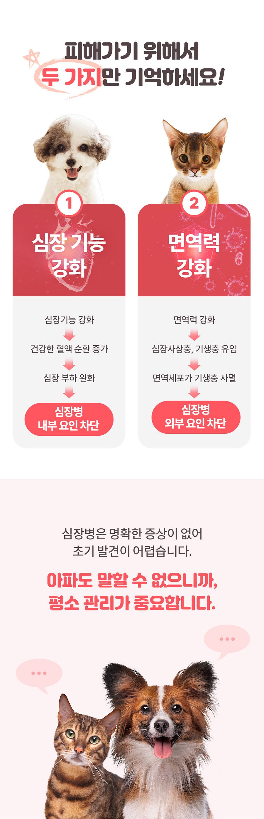 [무료배송] 마이펫닥터 독 아브힐하트 60g 4번째