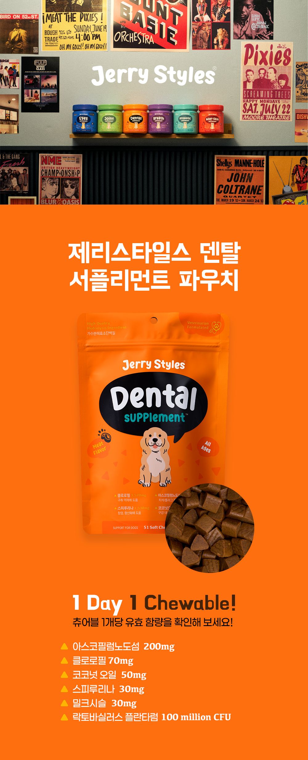 제리스타일스 독 구강 영양제 153g 3번째