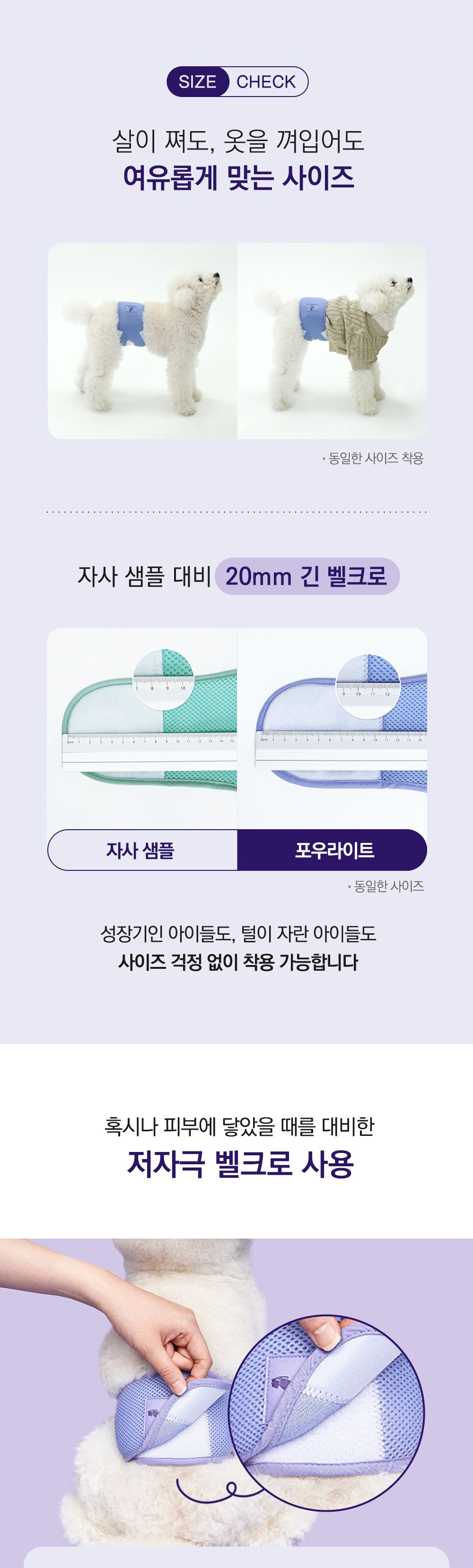포우라이트 독 매너벨트 대형 7번째
