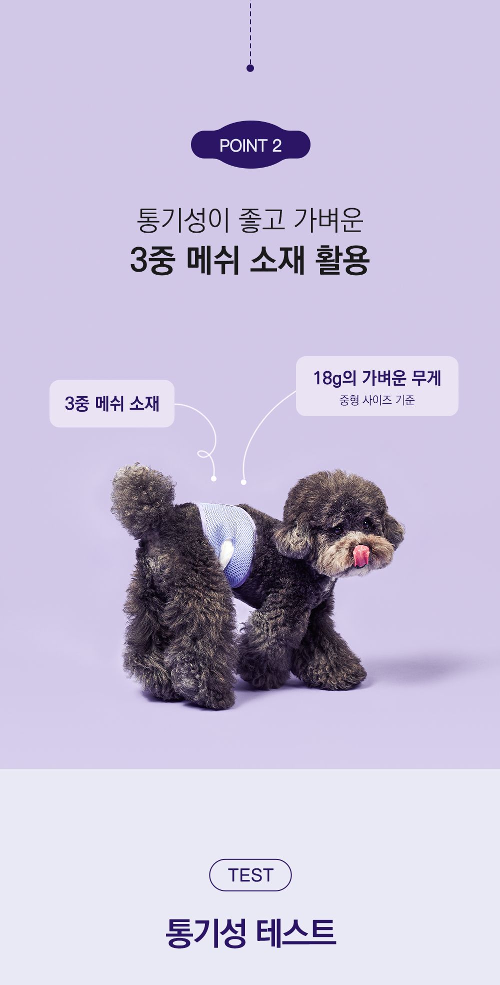 포우라이트 독 매너벨트 대형 4번째