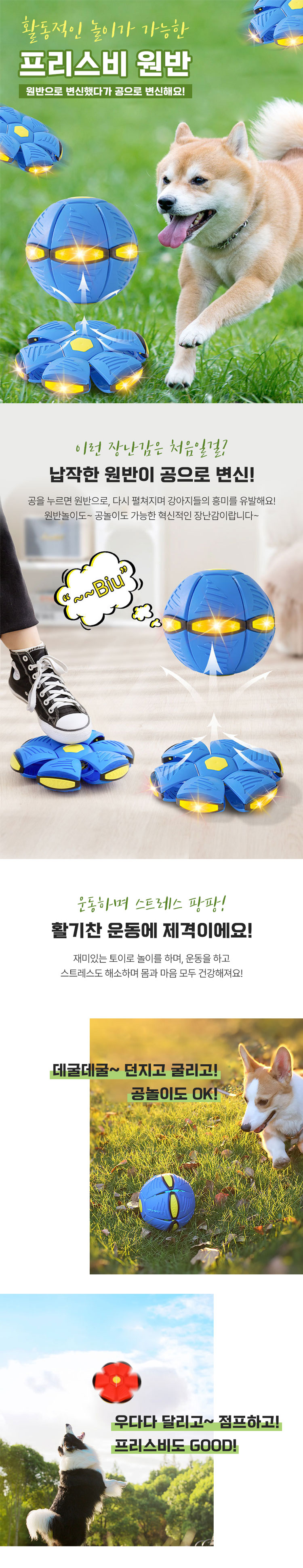[무료배송] 크레용펫 움직이는 강아지 장난감 훈련 프리스비 원반 공 1번째