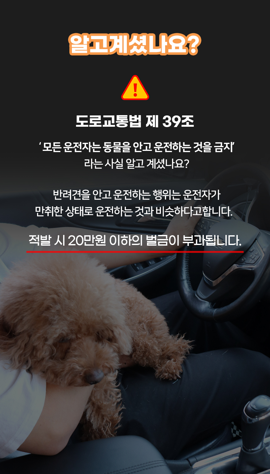 [NEW신상][무료배송] 개과천선 독 호브 콘솔 카시트 (퓨터 그레이/다크 블랙/피치 핑크) 3번째