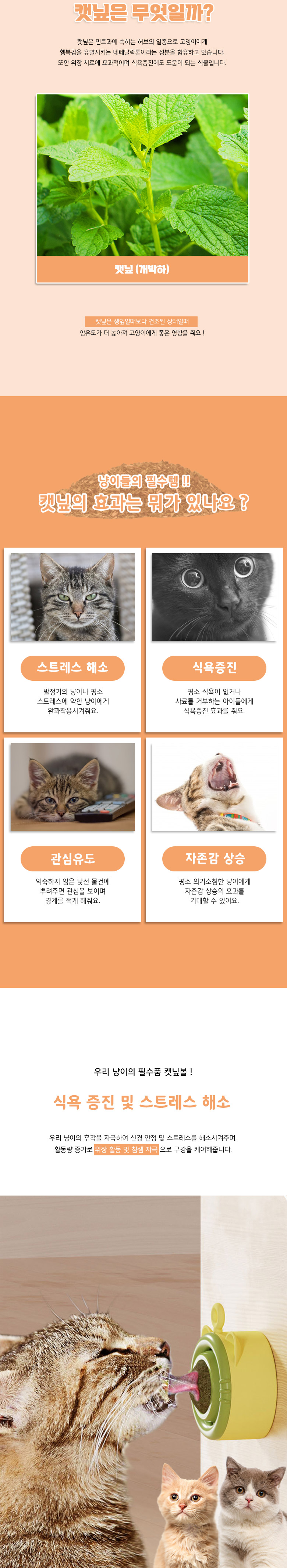 [무료배송] 딩동펫 고양이 냥페이스 회전 캣닢볼 장난감 2p A/B 3번째