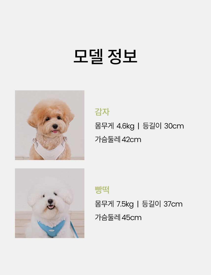 [NEW신상][무료배송] 리카리카 브리즈 워크 핸즈프리 리드줄 웜그레이/오션블루/올리브 16번째