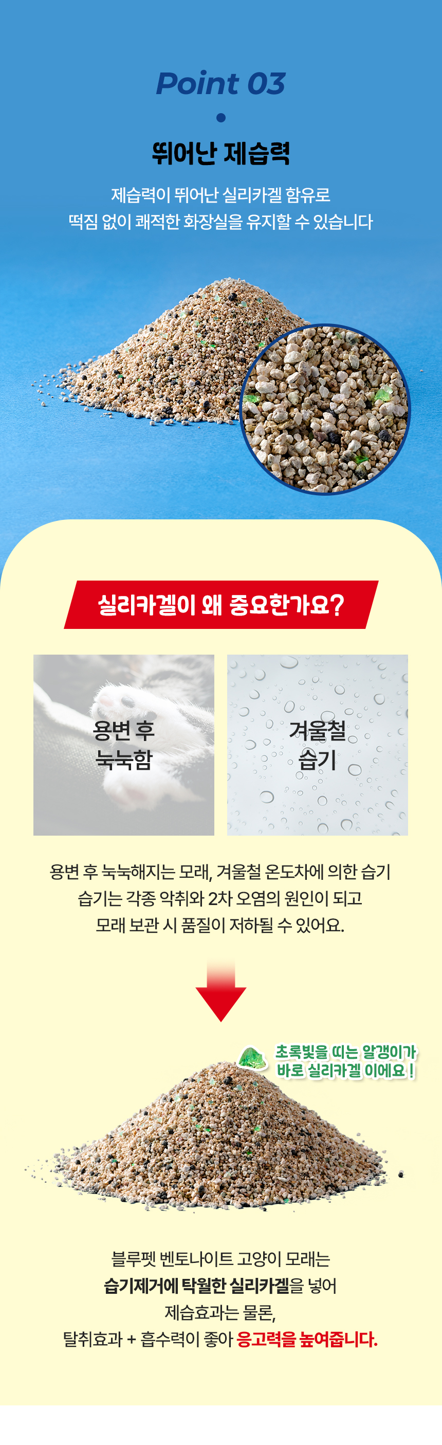[3개] 블루펫 캣 먼지 없는 벤토나이트 모래 6kg 5번째