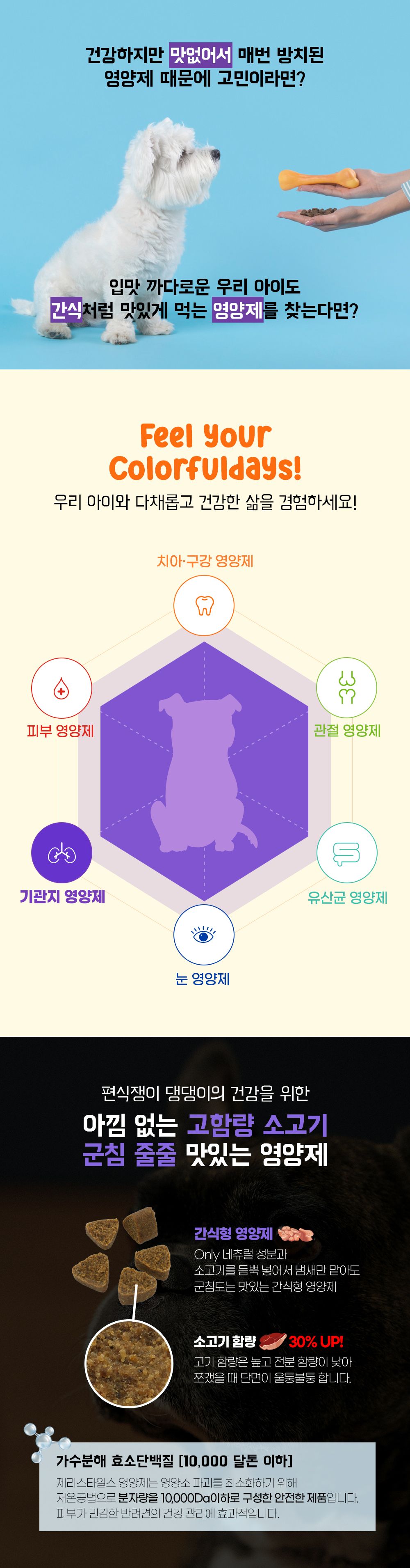 제리스타일스 독 기관지 영양제 153g 9번째